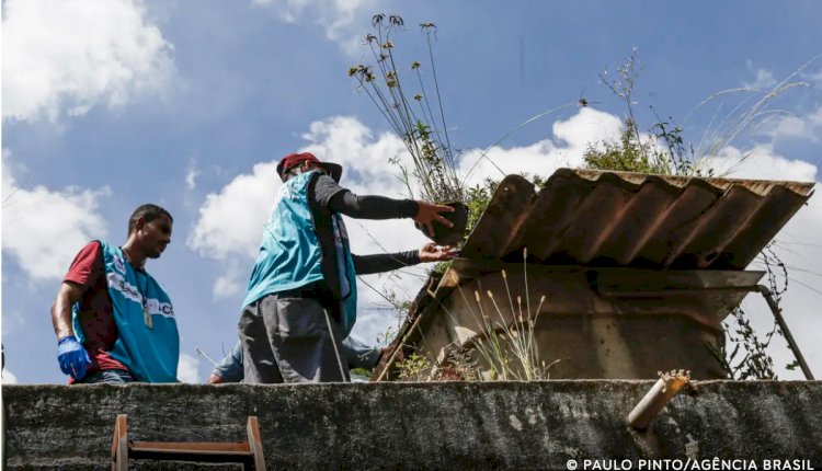 Saúde reforça monitoramento e ações de controle da dengue em 4 estados