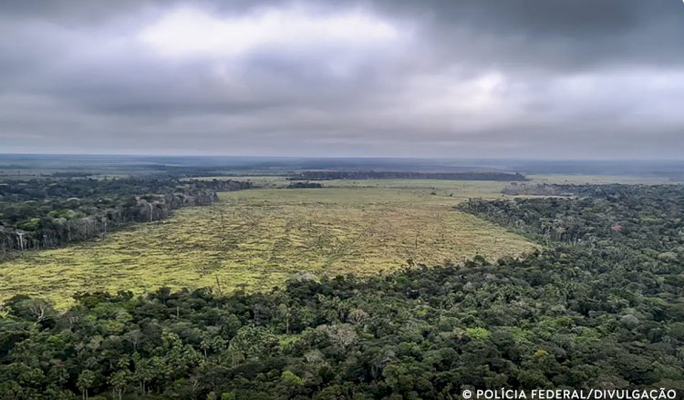 Mato Grosso aprova leis ambientais contrárias à legislação federal