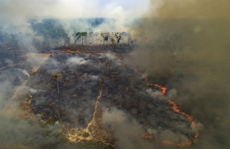 Amazônia teve alta de mais de 100% nas emissões de gás carbônico entre 2019 e 2020, aponta estudo na Nature