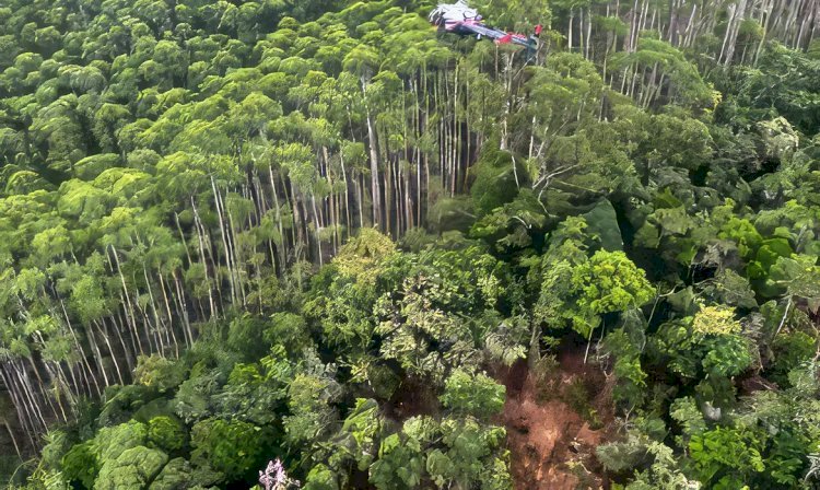 Corpos de ocupantes de helicóptero são encontrados junto aos destroços