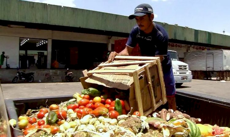 Pesquisa traz dicas sobre como reduzir desperdício de alimentos