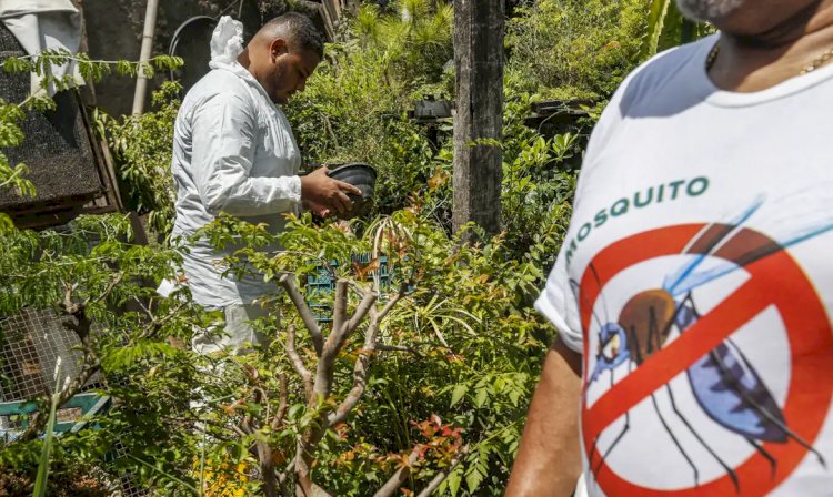 Paraná decreta situação de emergência em saúde por dengue