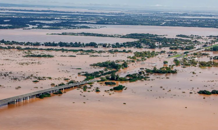 Crise climática: adolescentes levam ao papa demandas da juventude