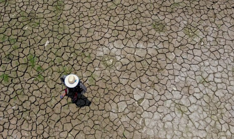 Mudanças climáticas já interferem em secas e cheias na Amazônia