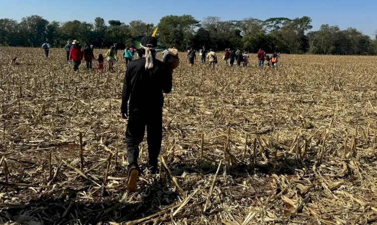 Justiça impede Funai de distribuir lona a indígenas de ocupação no PR