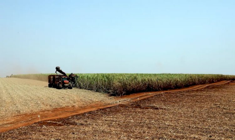 Governo libera R$ 210 milhões para o seguro rural no Rio Grande do Sul