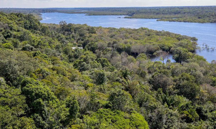 G9: indígenas defendem demarcação para reduzir danos climáticos