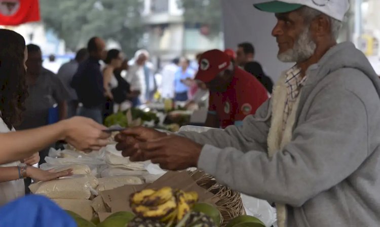 Programa Desenrola Rural entra em vigor nesta segunda-feira