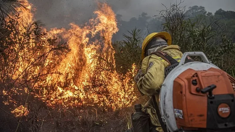 Incêndios avançam no Pará e deixam população exposta a níveis perigosos de poluição
